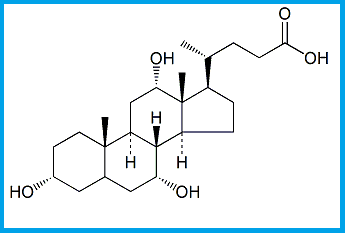 CHENODEOXYCHOLIC ACID EP IMPURITY B
